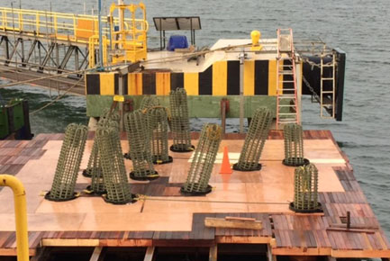 CONSTRUCCION DE TERMINAL MARITIMO EXXON MOBIL Y LANZAMIENTO DE TUBERIAS